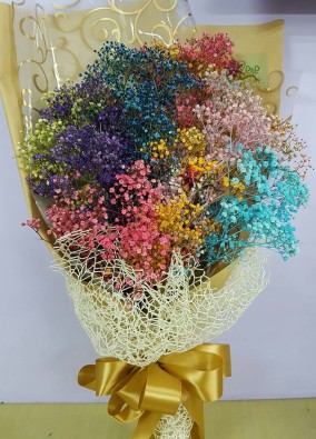 rainbow baby flowers