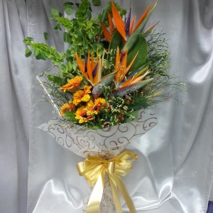 HB Bird of Paradise & Gerbera